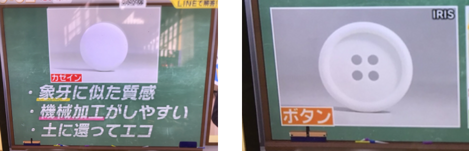 アイリスがテレビで紹介された画像