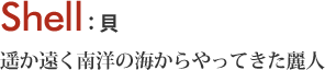 Shell 遥か遠く南洋の海からやってきた麗人 